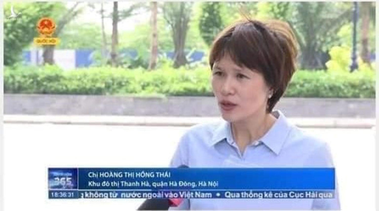 hth-qhtv-1536x856.jpg